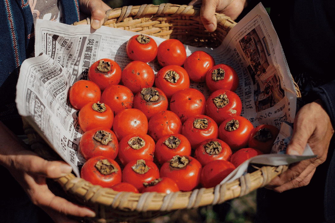 甲子柿独自の伝統製法が産み出す「色」・「食感」・「成分」が商品のポイントです！